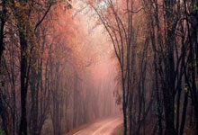 王曼昱复出首秀出彩，阿森纳主场险胜曼联，豪取7连胜